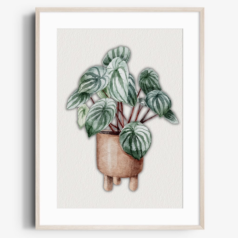 Watercolor Plants Botanical Wall Art Illustration Print Poster Unframed
